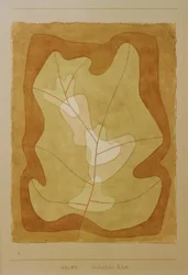 Belichtetes Blatt